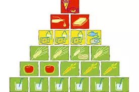 Ernährungspyramide für die Ernährung