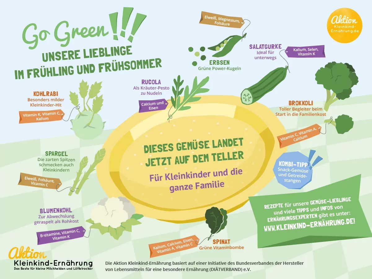 Infografik mit Gemüse im Frühling und Frühsommer