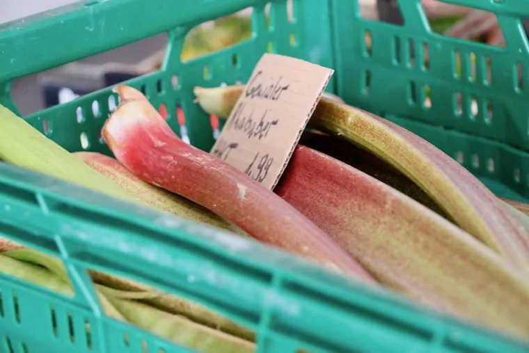 Rhabarber für Kleinkinder