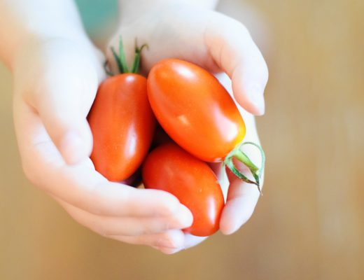 Kleinkindernährung Tomaten