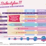 Infografik mit Plan zur Einführung von Beikost für Babys