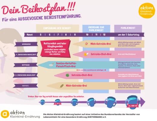 Infografik mit Plan zur Einführung von Beikost für Babys