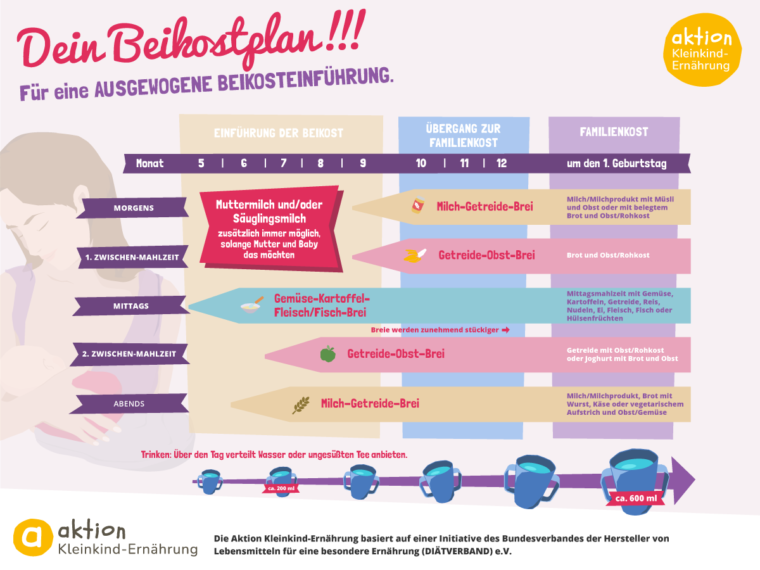 Infografik mit Plan zur Einführung von Beikost für Babys