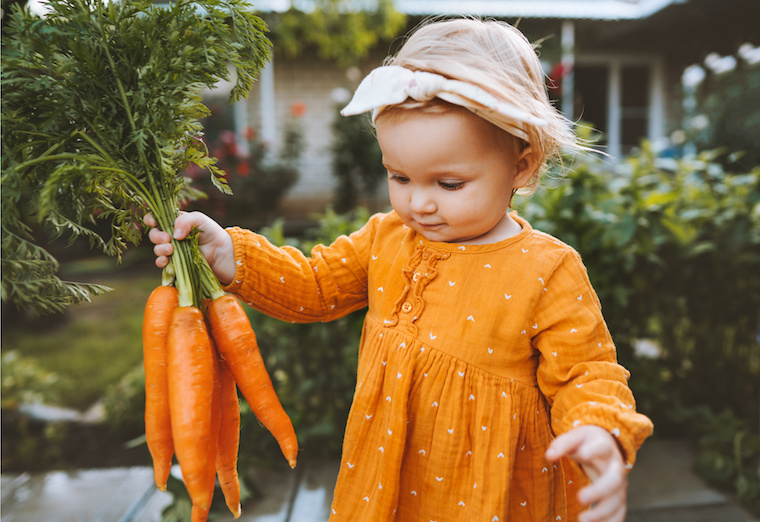 Ein Kleinkind hält einen Bund Karotten in der Hand