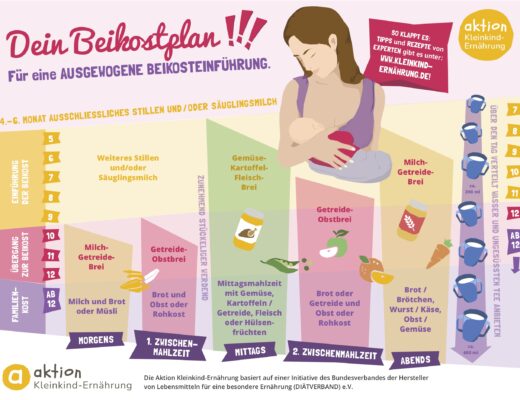 Beikostplan der die verschiedenen Stufen der Beikosteinführung , Altersgruppen sowie Lebensmittel abbildet, die in der jeweiligen Stufe je nach Mahlzeit, gefüttert werden können.