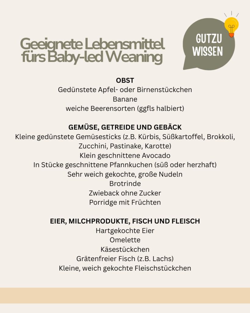Grafikübersicht mit Lebensmitteln, die gut für Baby-led Weaning geeignet sind.