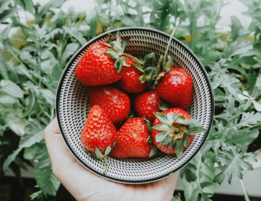 Eine Schale mit saftig süßen Erdbeeren wird von einer Hand gehalten.