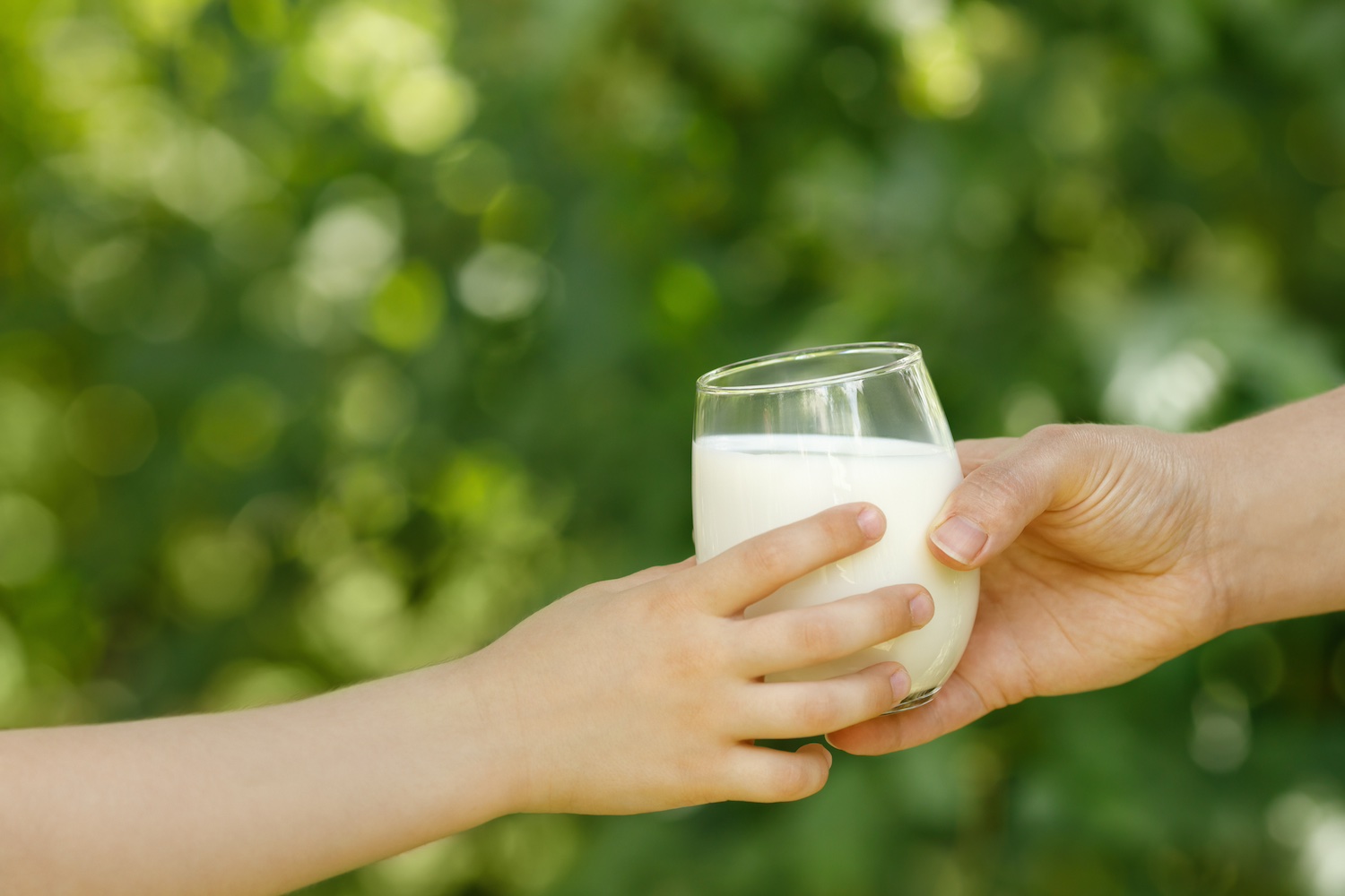 Eine Kinderhand und eine Erwachsenenhand greifen beide nach einem Glas mit Milch.